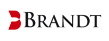 Brandt Information Services, LLC company profile
